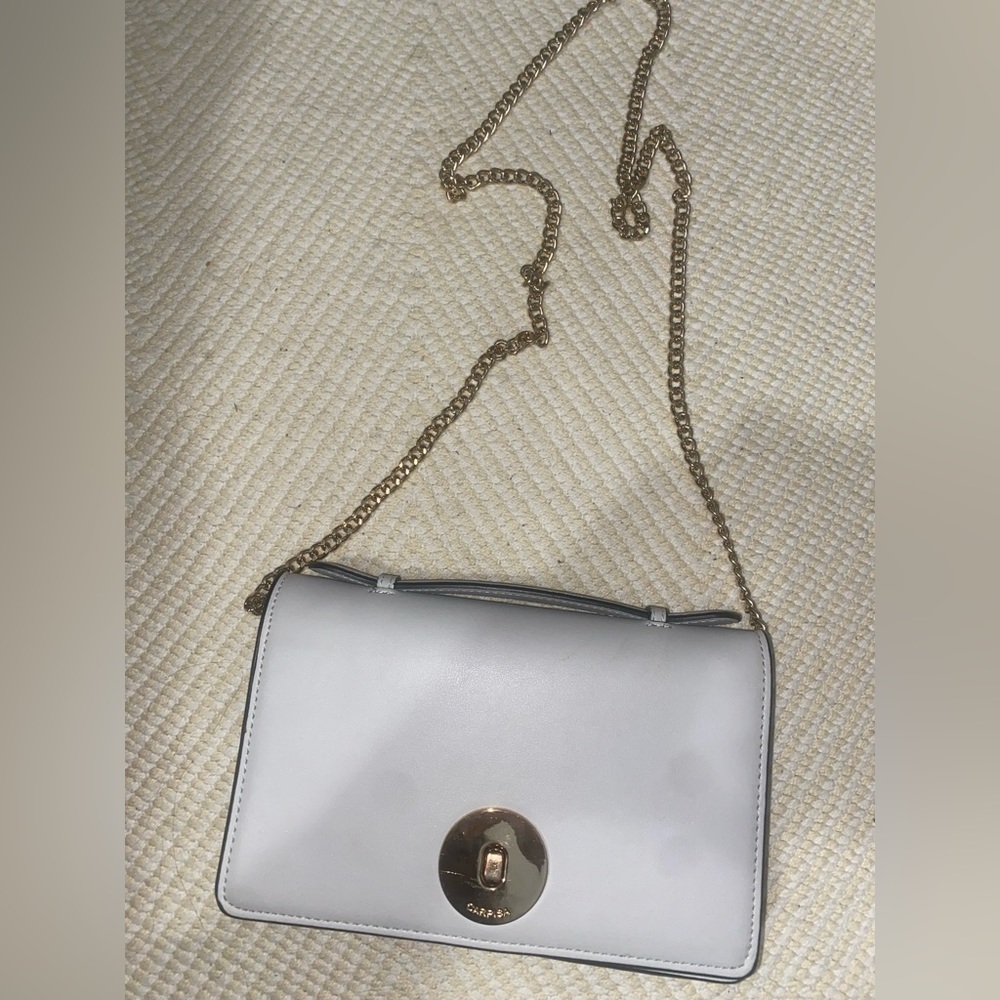 Italian Carpisa crossbody bag